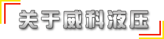 供應國標、非標315噸液壓機